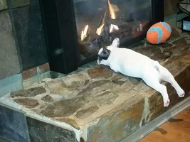Aiko being hilarious