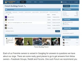💝 Help out FrenchBulldogNews.com - Please post a link to us!