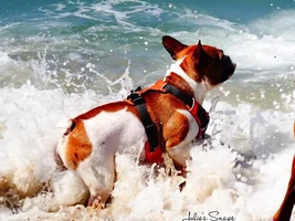 Summer Summer Time!!!!