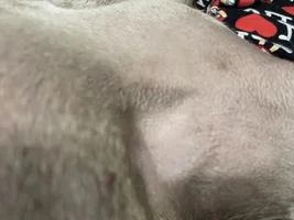 Cow pattern skin?