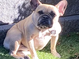 Rusty’s UPDATE on MRI