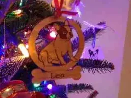 Ornament Exchange Sharing Thread 2014
