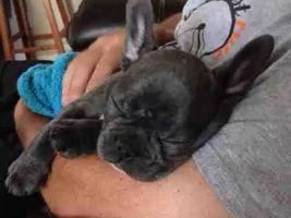 New blue baby named BATMAN.