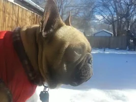 Max