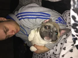 ~ENTER HERE~ Father's Day Frenchie of the Month Contest!