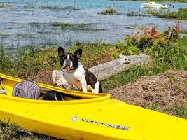 Wally and Uma on vacation