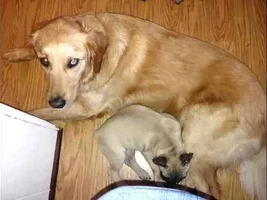 Just had to share :)