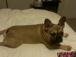 Jax being seductive