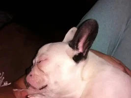 Sleeping baba