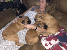 4 PAW MEMBERS!!!  Please VOTE for your favorite Moms and Dads!