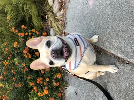 Chloe