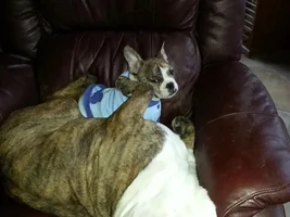 Sleeping positions........