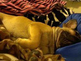 Sleeping positions........