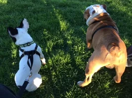 new friends!