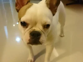 Hello f/ Thailand!