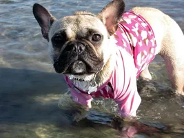 Swimming
