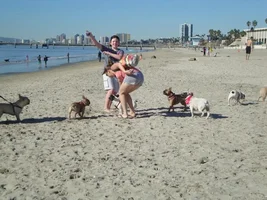 Frenchie Meet up group event this weekend Dec 1st