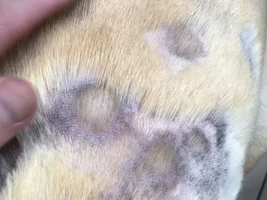 Hair loss and skin concern, please help!