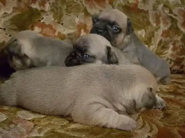 Hello, Hello, Hello! So Happy To Be Here!