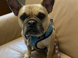 Rusty- help please!!