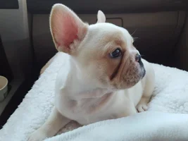 Newbie in Texas