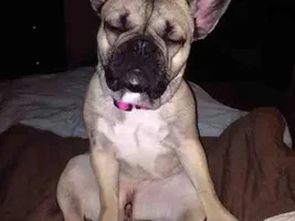 Little Lady