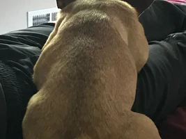 Rusty- help please!!