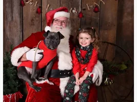 4 PAW MEMBERS!!  Please VOTE for your favorite HOLLY JOLLY FRENCHIES!!!!