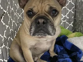 Rusty- help please!!