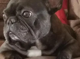 Don't hate me because I'm beautiful...