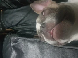 Its a hard life