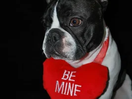 Wilson wishes everyone a Happy Valentines Day!