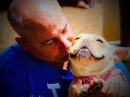 Frenchie of the Month Contest ~ Father's Day ~ ENTER HERE ~