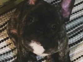Monte and Reese updated pics