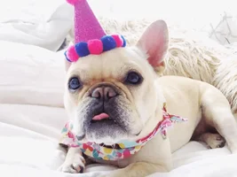 Guess who's two!?