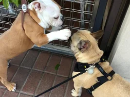 Jake met some new friends!