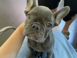 Hi my name is clover