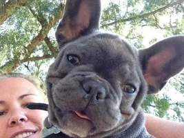 Batman at the dog park and mommies new camera!