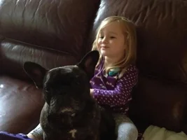 4 Paw Members VOTE NOW!  February French of the month