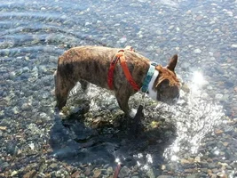Our Easter Walk At Wallowa Lake!