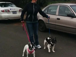 Hello from Opie & Gucci in Oregon!