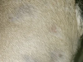 Skin issue