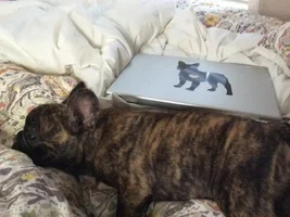 Pierce and the laptop