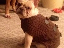 Mayhems new sweater