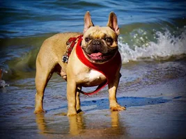 Labor Day weekend = Beach time!!!