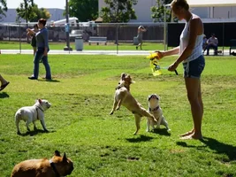 Batman at the dog park and mommies new camera!