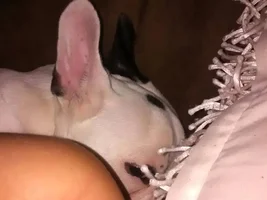 Some body thinks I can't see him