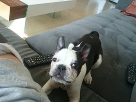 Hi :) Welcome lil Diego