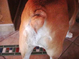 Gross - but I wonder if anyone else has this issue?