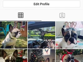 Instagram